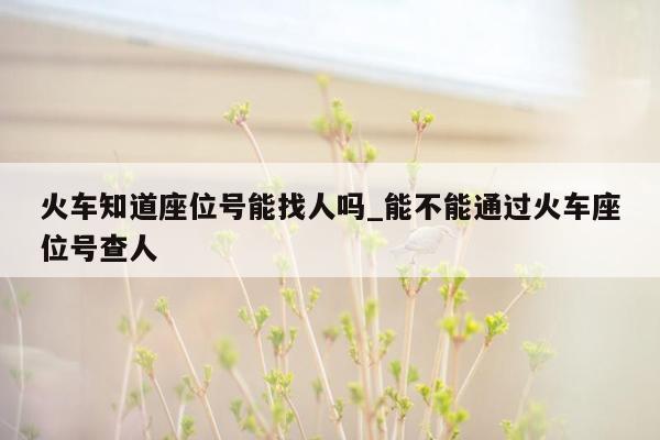 火车知道座位号能找人吗_能不能通过火车座位号查人