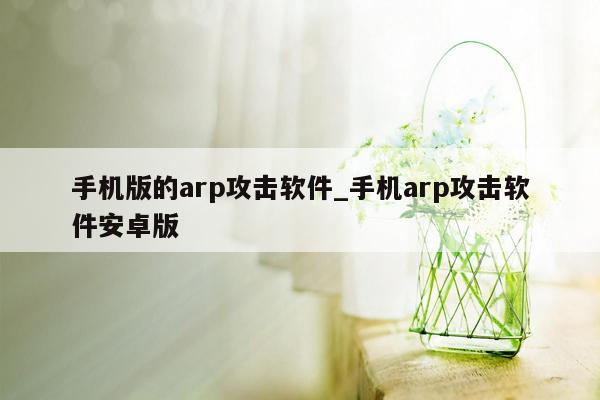 手机版的arp攻击软件_手机arp攻击软件安卓版