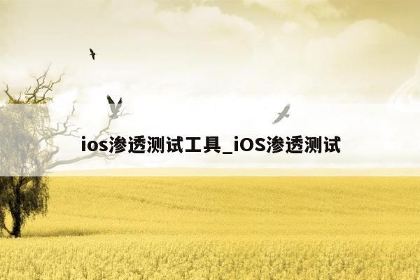 ios渗透测试工具_iOS渗透测试