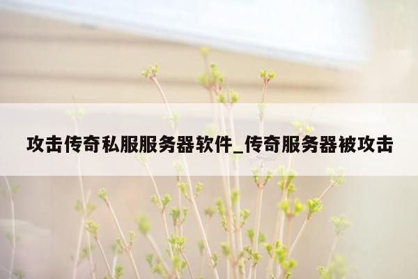 攻击传奇私服服务器软件_传奇服务器被攻击