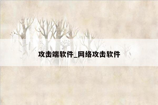 攻击端软件_网络攻击软件