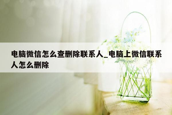 电脑微信怎么查删除联系人_电脑上微信联系人怎么删除