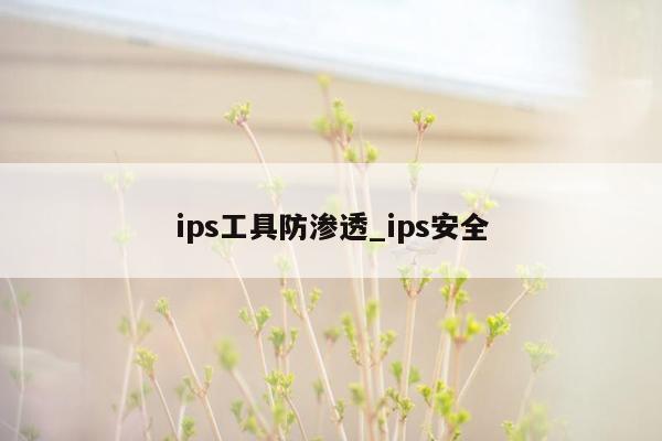 ips工具防渗透_ips安全