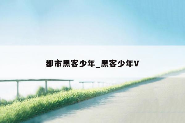 都市黑客少年_黑客少年V