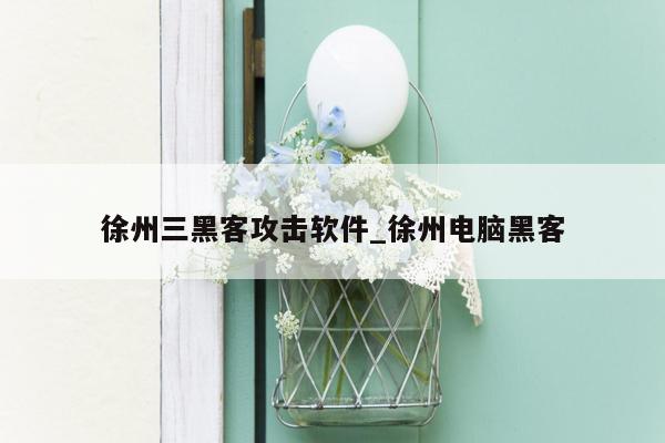 徐州三黑客攻击软件_徐州电脑黑客