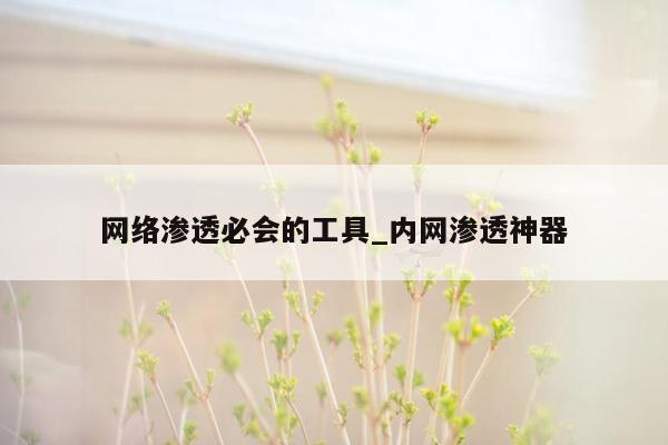 网络渗透必会的工具_内网渗透神器