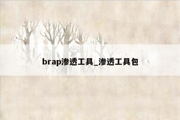 brap渗透工具_渗透工具包