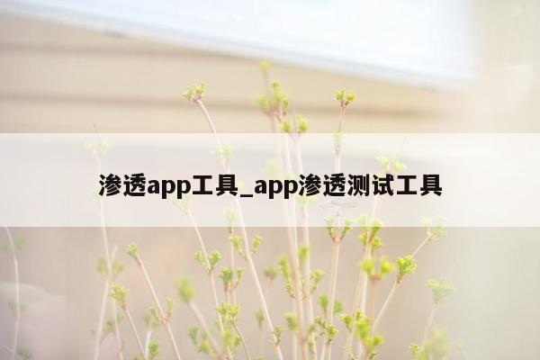 渗透app工具_app渗透测试工具