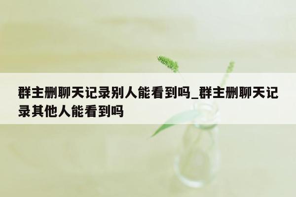 群主删聊天记录别人能看到吗_群主删聊天记录其他人能看到吗