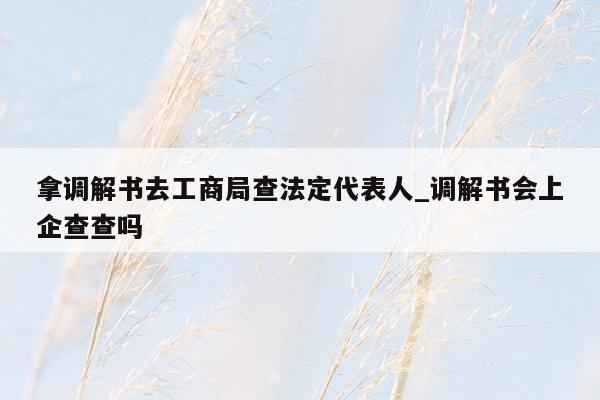 拿调解书去工商局查法定代表人_调解书会上企查查吗