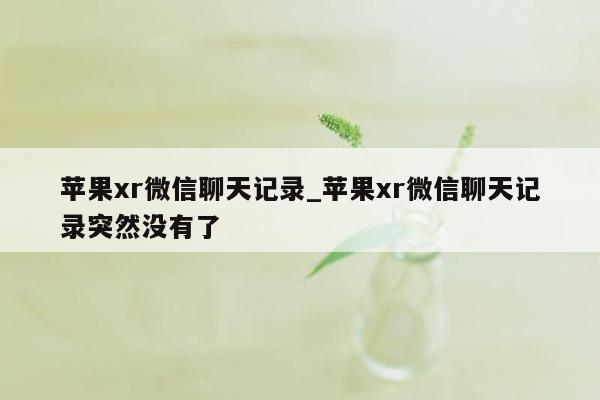 苹果xr微信聊天记录_苹果xr微信聊天记录突然没有了