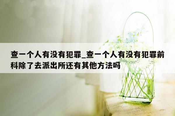 查一个人有没有犯罪_查一个人有没有犯罪前科除了去派出所还有其他方法吗