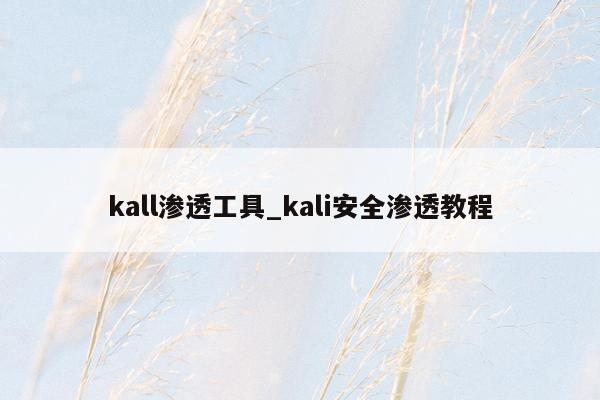 kall渗透工具_kali安全渗透教程