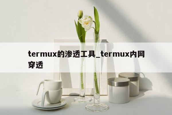 termux的渗透工具_termux内网穿透