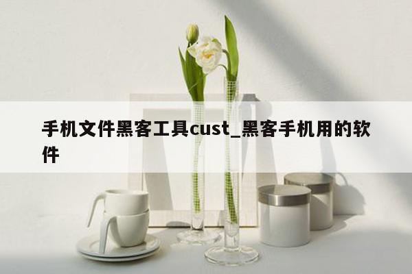 手机文件黑客工具cust_黑客手机用的软件