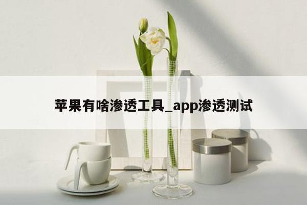 苹果有啥渗透工具_app渗透测试