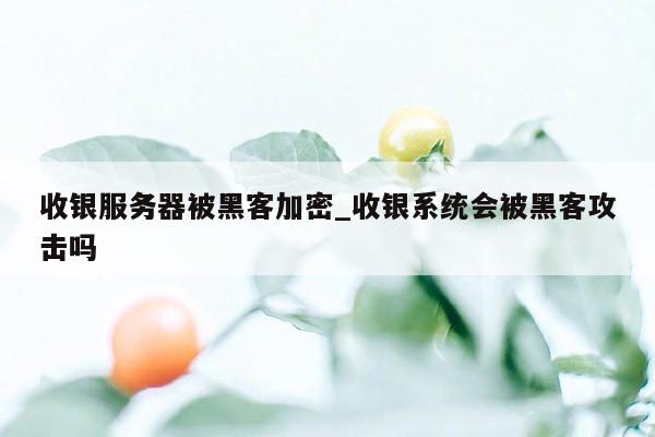 收银服务器被黑客加密_收银系统会被黑客攻击吗