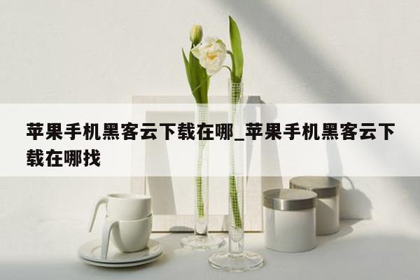 苹果手机黑客云下载在哪_苹果手机黑客云下载在哪找