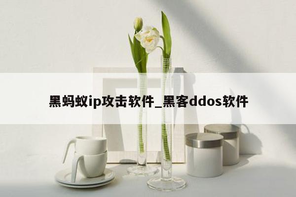 黑蚂蚁ip攻击软件_黑客ddos软件