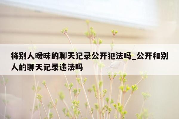 将别人暧昧的聊天记录公开犯法吗_公开和别人的聊天记录违法吗