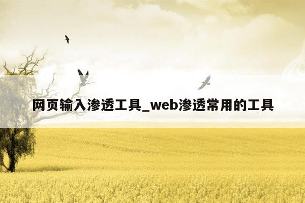 网页输入渗透工具_web渗透常用的工具