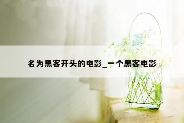 名为黑客开头的电影_一个黑客电影