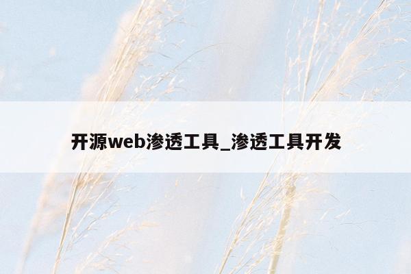 开源web渗透工具_渗透工具开发