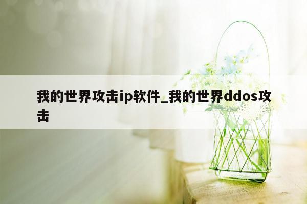 我的世界攻击ip软件_我的世界ddos攻击