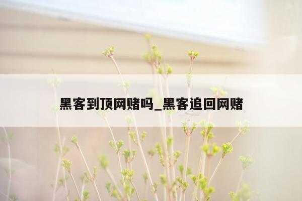 黑客到顶网赌吗_黑客追回网赌