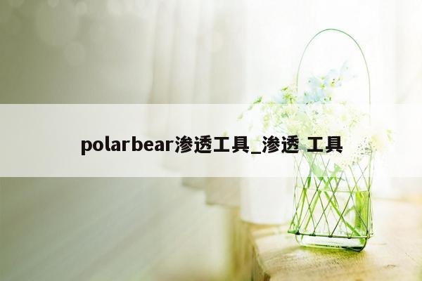 polarbear渗透工具_渗透 工具