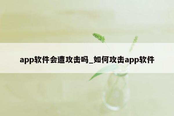 app软件会遭攻击吗_如何攻击app软件