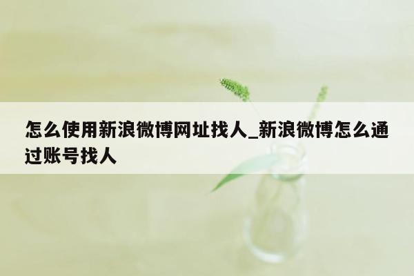 怎么使用新浪微博网址找人_新浪微博怎么通过账号找人