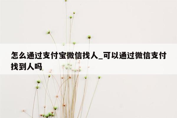 怎么通过支付宝微信找人_可以通过微信支付找到人吗