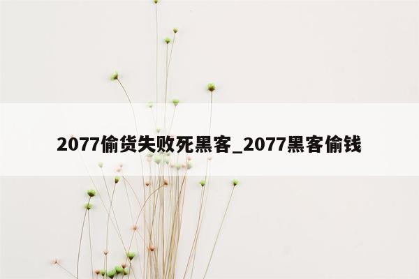 2077偷货失败死黑客_2077黑客偷钱