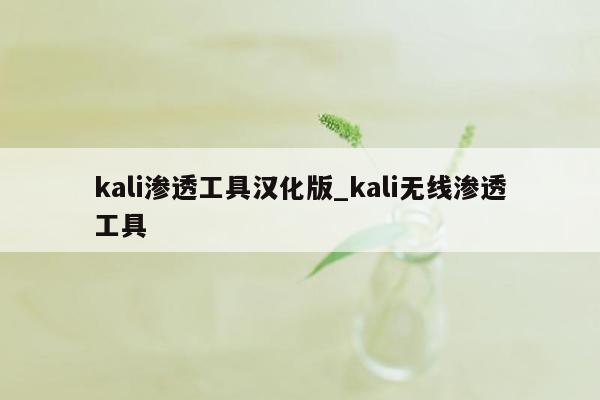 kali渗透工具汉化版_kali无线渗透工具