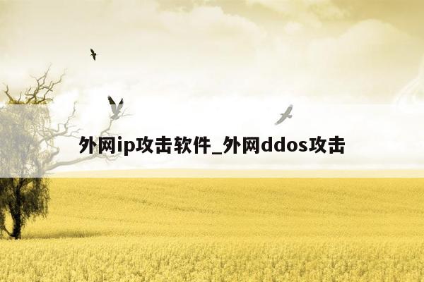 外网ip攻击软件_外网ddos攻击