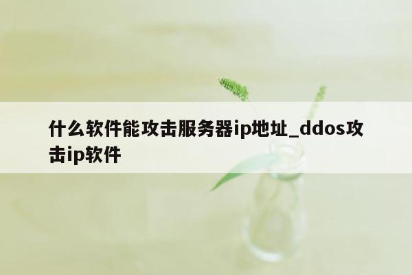 什么软件能攻击服务器ip地址_ddos攻击ip软件