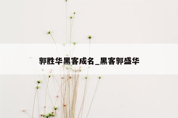 郭胜华黑客成名_黑客郭盛华