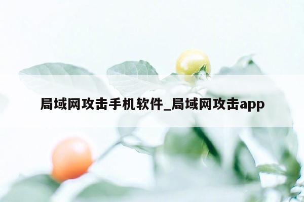 局域网攻击手机软件_局域网攻击app