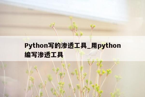 Python写的渗透工具_用python编写渗透工具