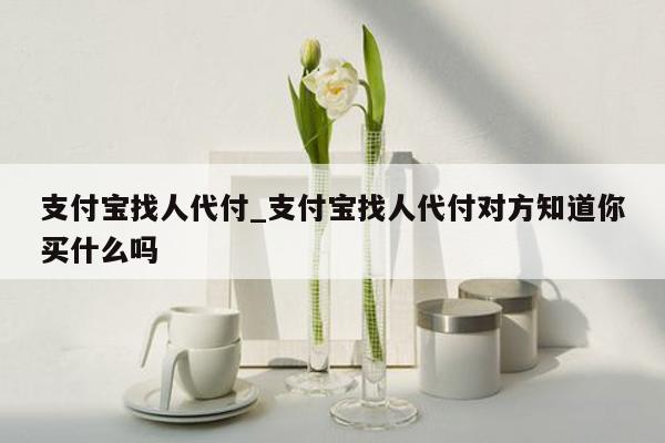 支付宝找人代付_支付宝找人代付对方知道你买什么吗