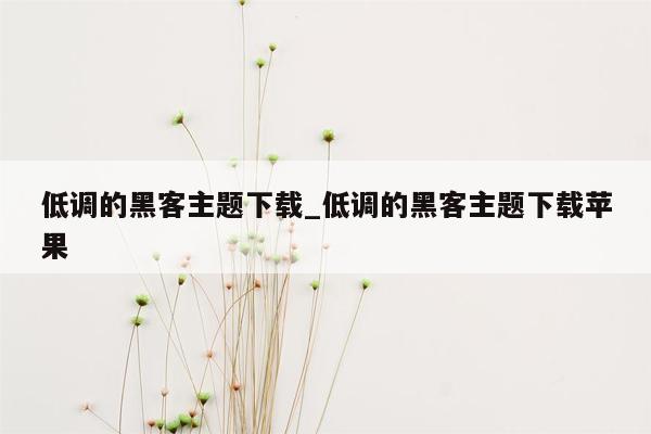 低调的黑客主题下载_低调的黑客主题下载苹果