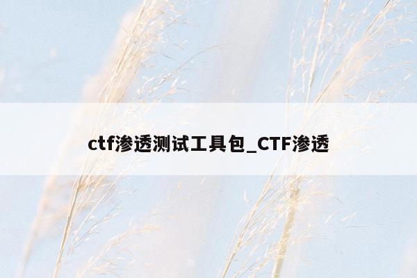 ctf渗透测试工具包_CTF渗透