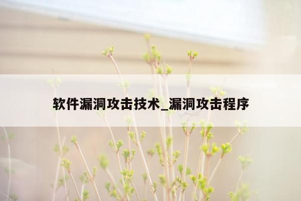 软件漏洞攻击技术_漏洞攻击程序