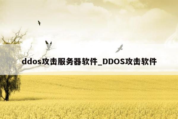 ddos攻击服务器软件_DDOS攻击软件