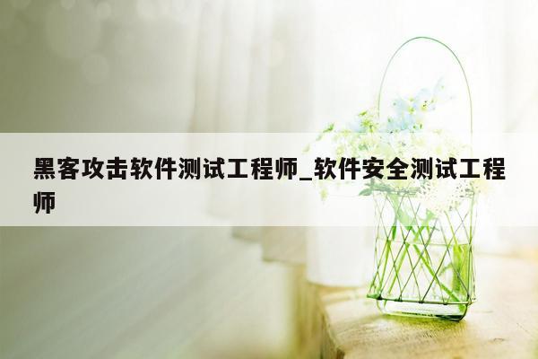 黑客攻击软件测试工程师_软件安全测试工程师