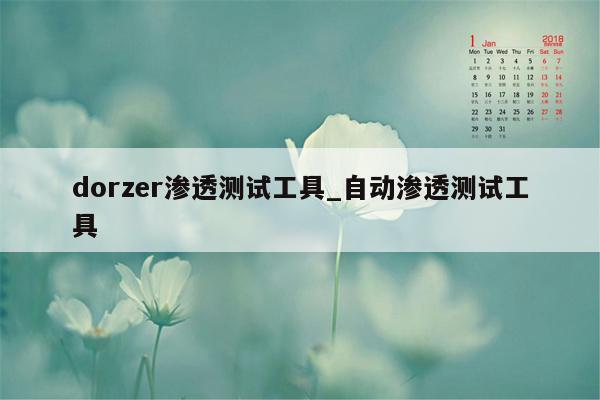 dorzer渗透测试工具_自动渗透测试工具