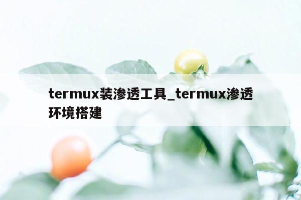 termux装渗透工具_termux渗透环境搭建