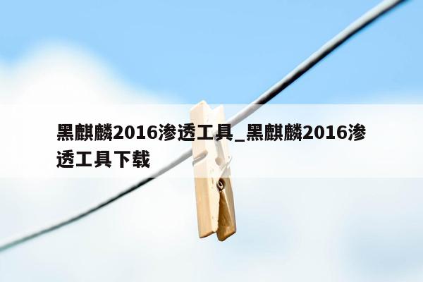 黑麒麟2016渗透工具_黑麒麟2016渗透工具下载