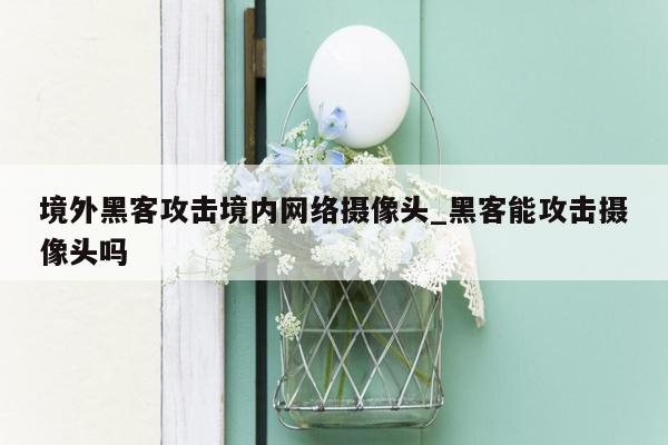 境外黑客攻击境内网络摄像头_黑客能攻击摄像头吗